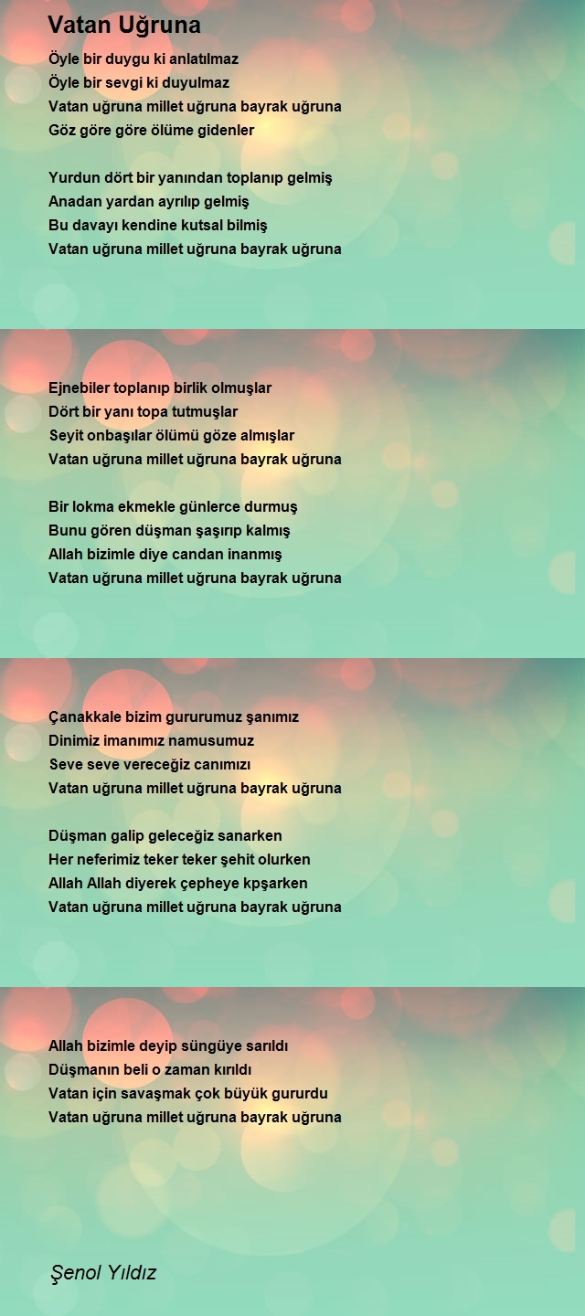 Şenol Yıldız