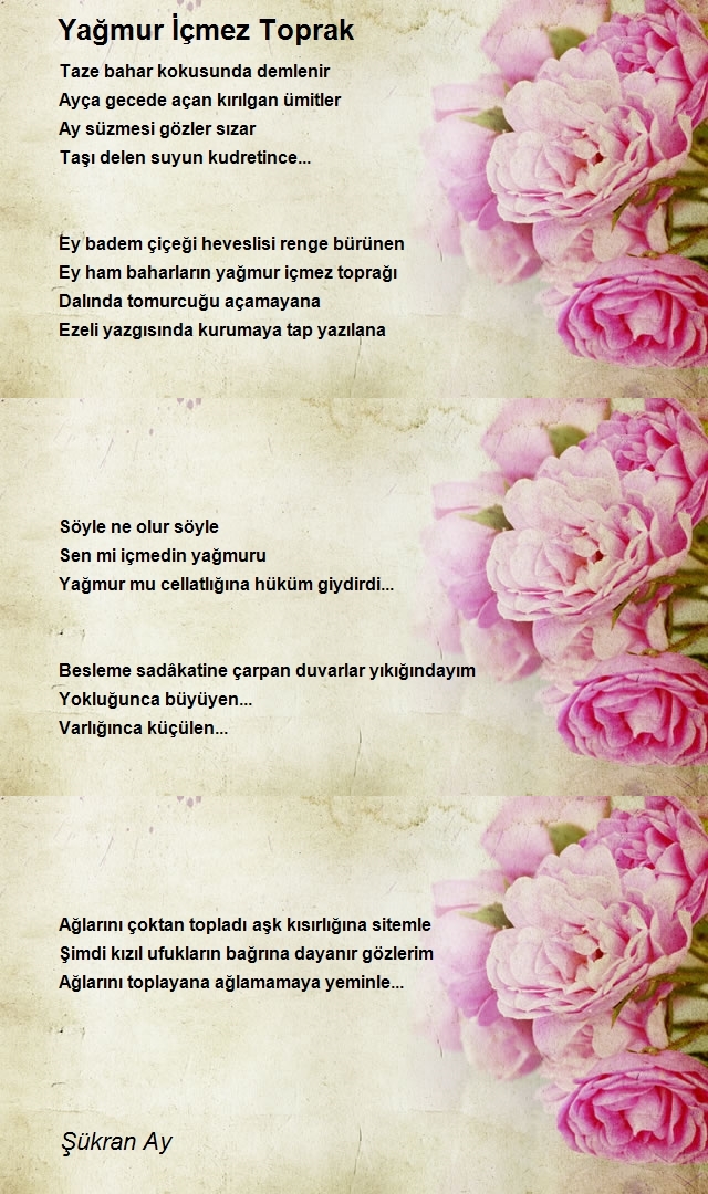 Mavi Umay Şükran Ay