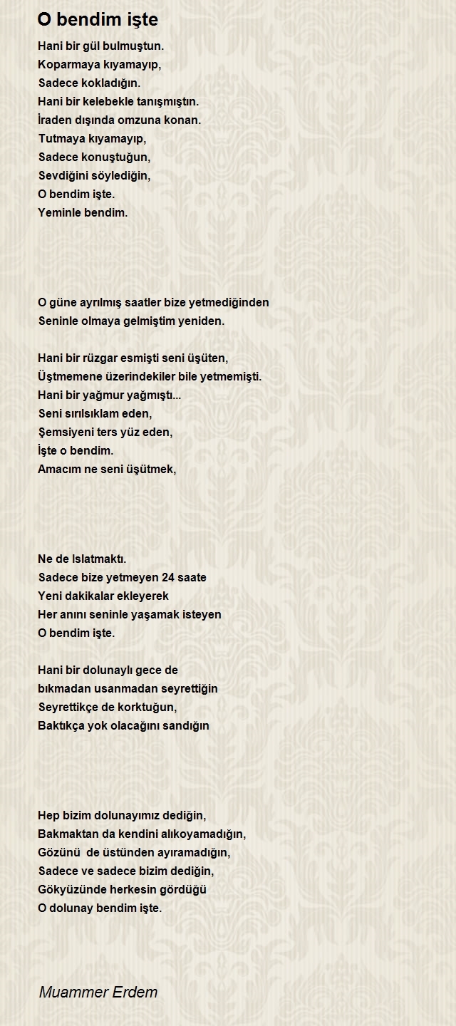 Muammer Erdem