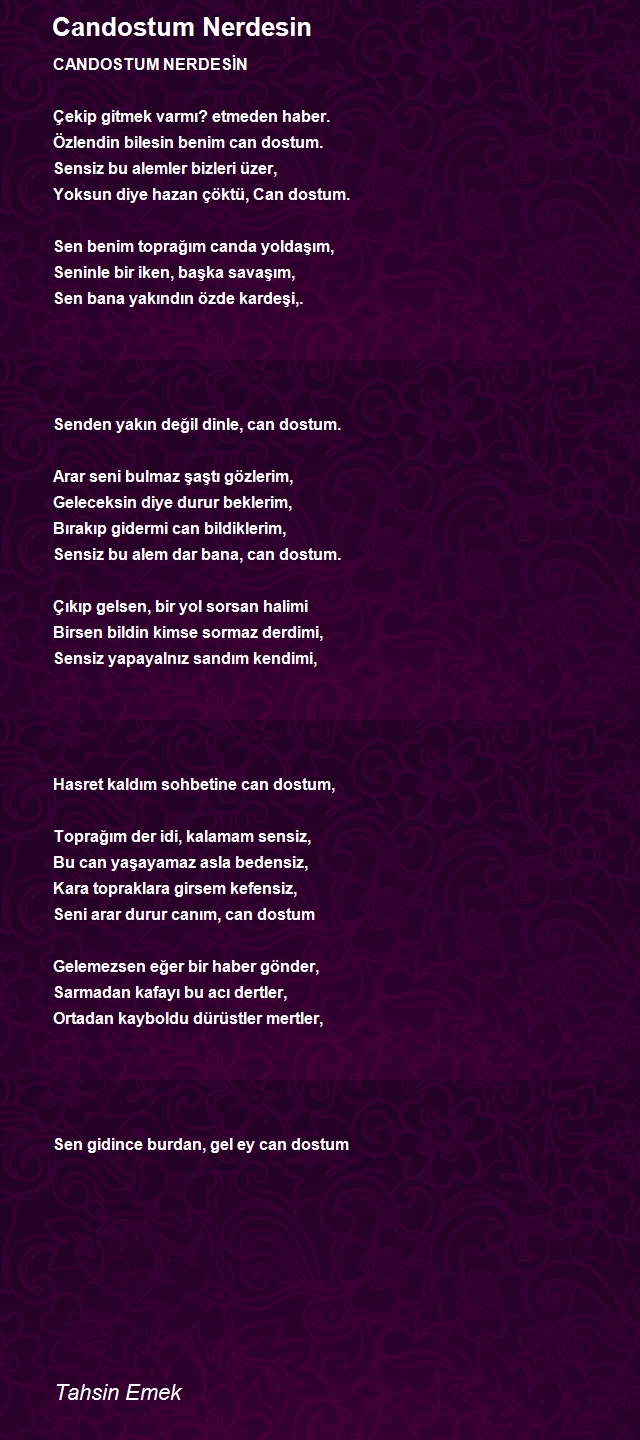Tahsin Emek