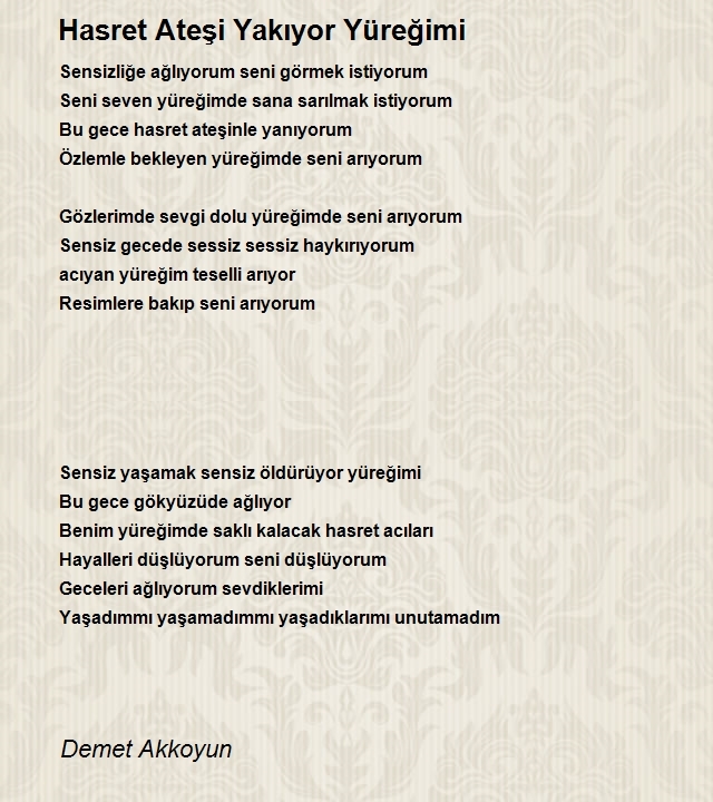 Demet Akkoyun
