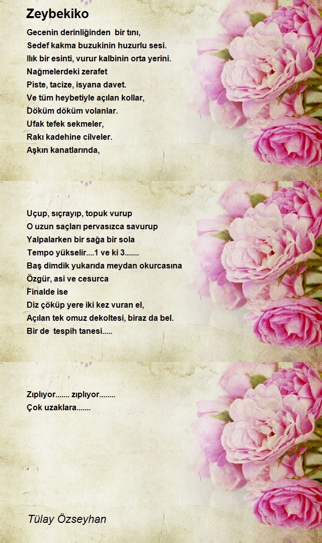 Tülay Özseyhan