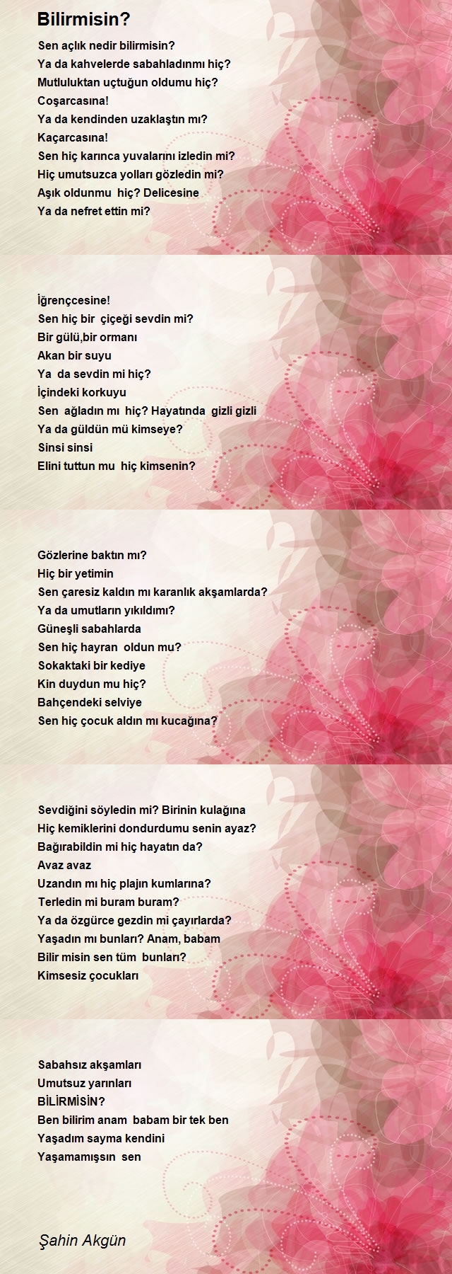 Şahin Akgün