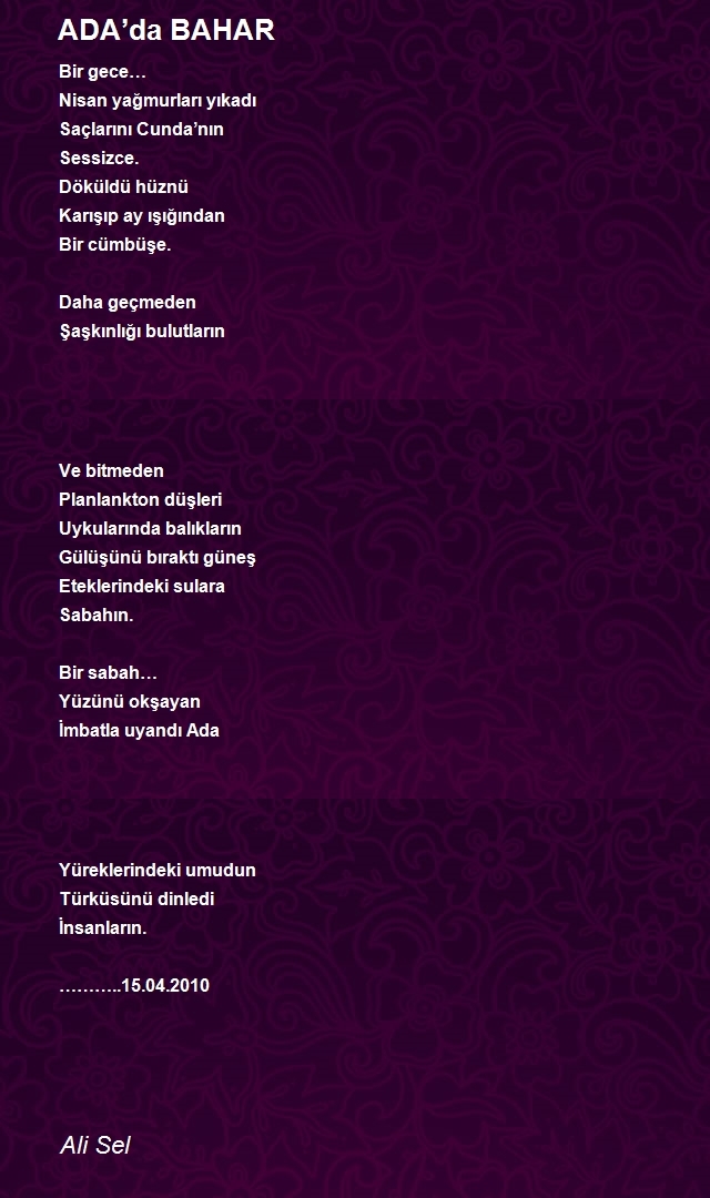 Ali Sel