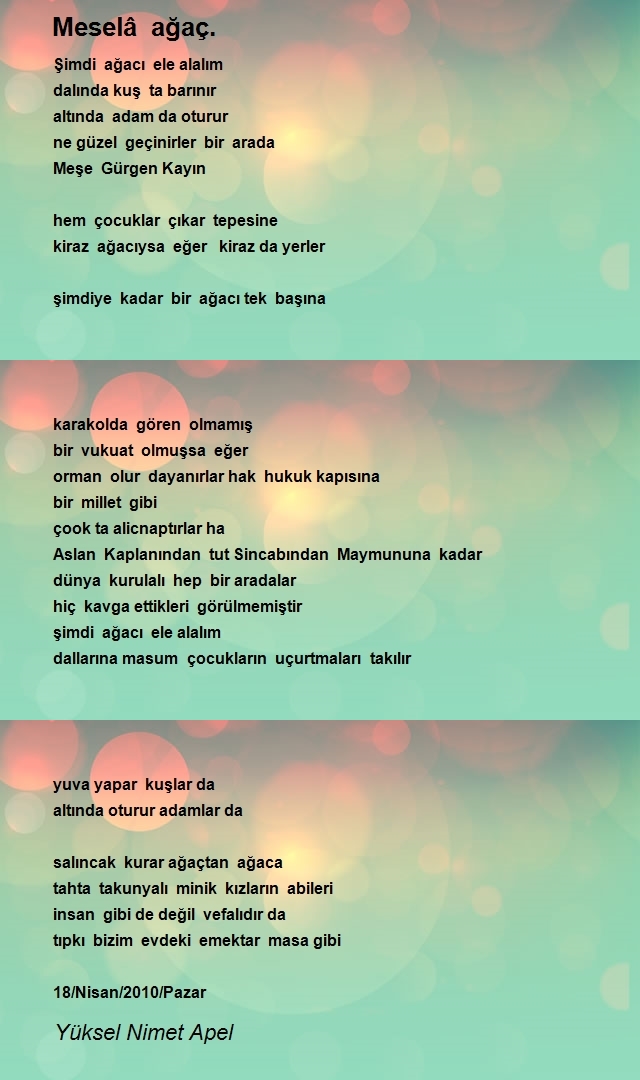 Yüksel Nimet Apel