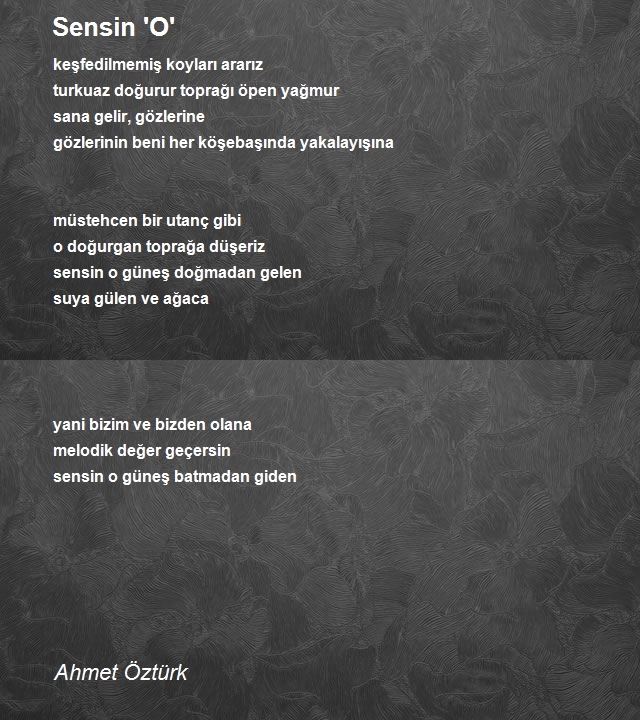 Ahmet Öztürk