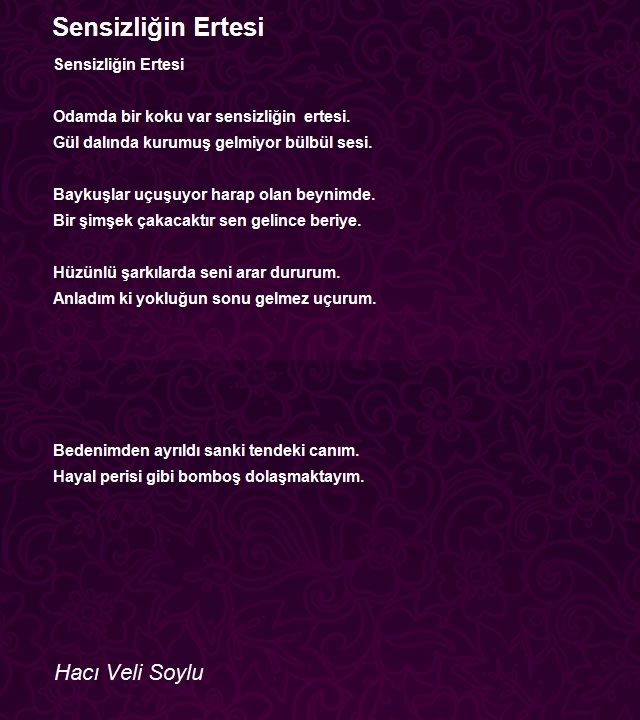 Hacı Veli Soylu
