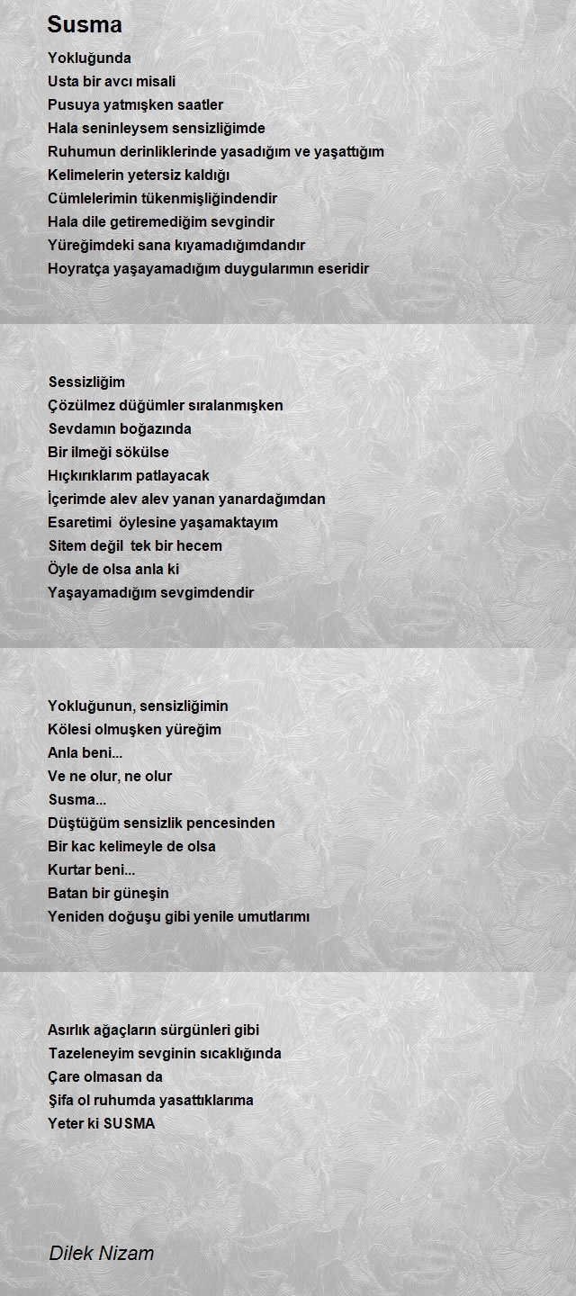 Dilek Nizam
