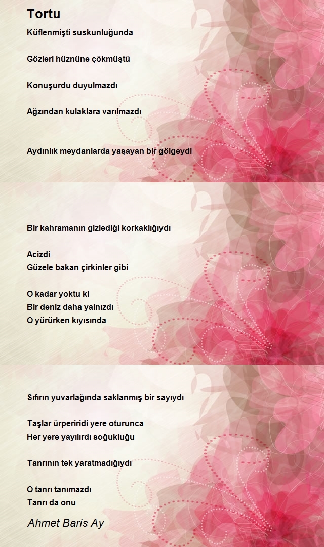 Ahmet Baris Ay