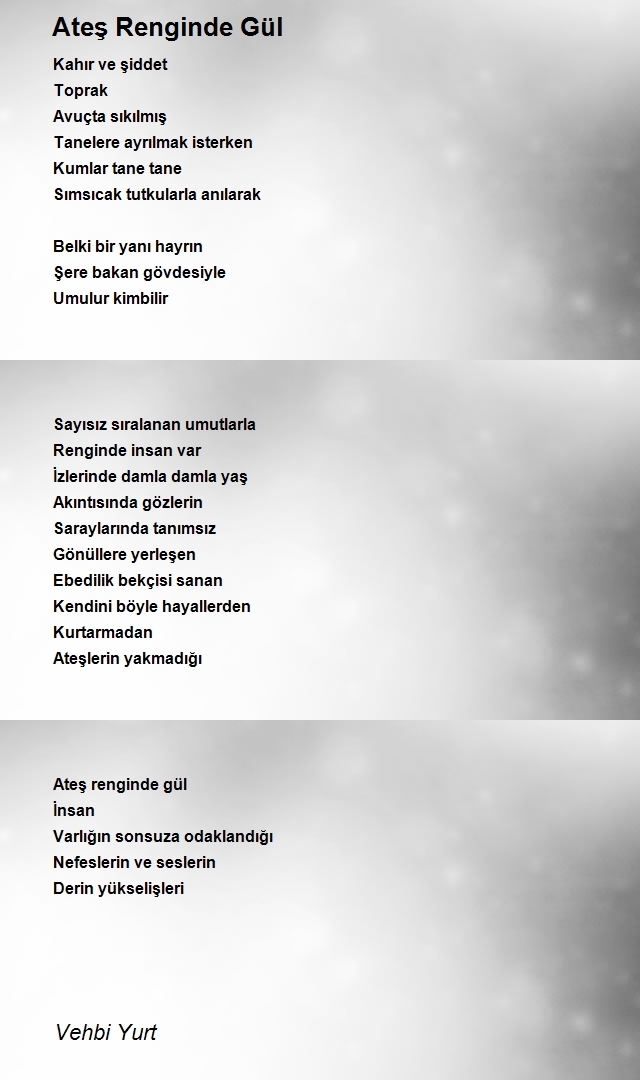 Vehbi Yurt
