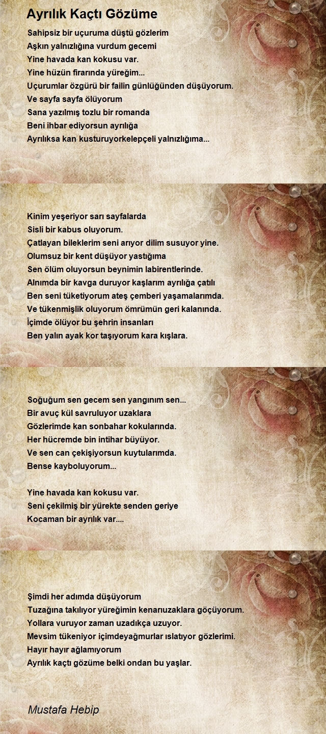 Mustafa Hebip