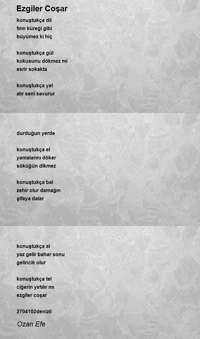 Ozan Efe
