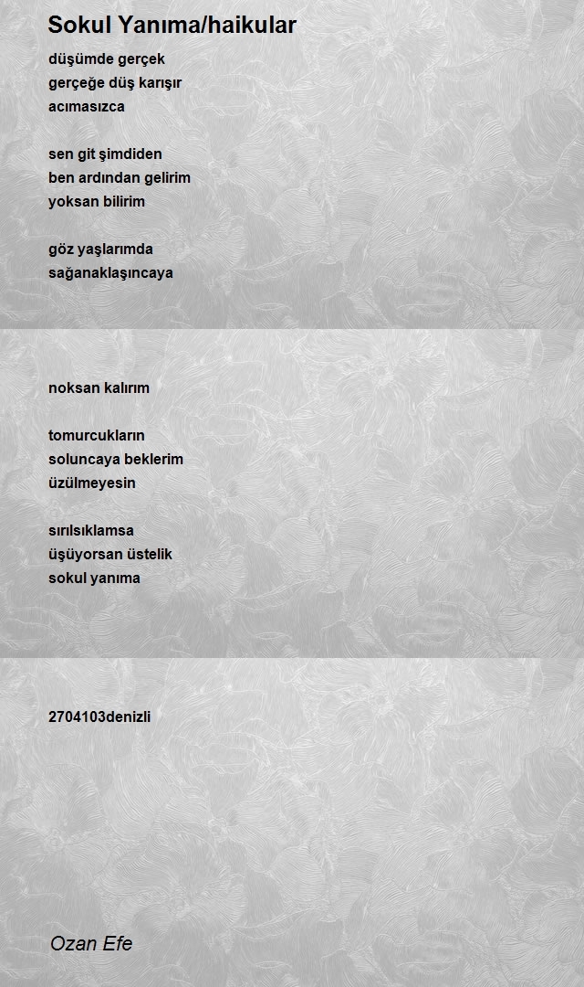 Ozan Efe