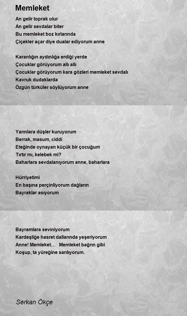 Serkan Ökçe