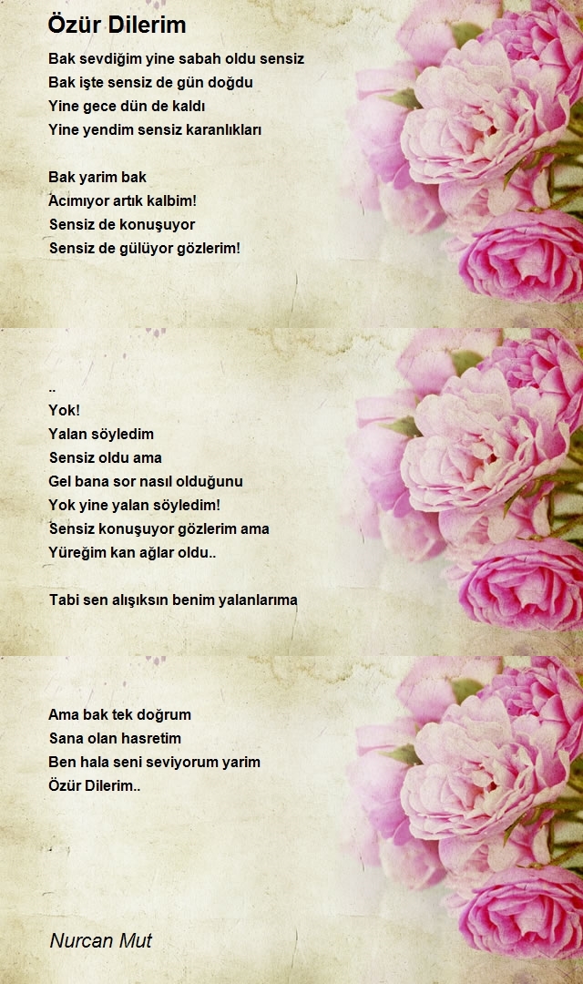 Nurcan Mut