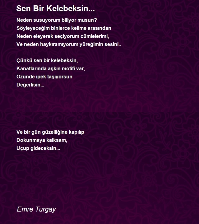Emre Turgay