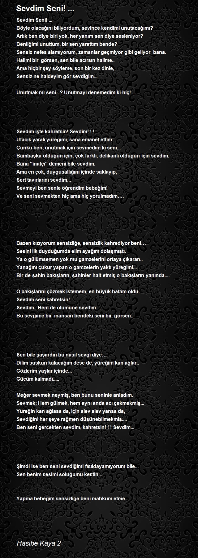 Hasibe Kaya 2