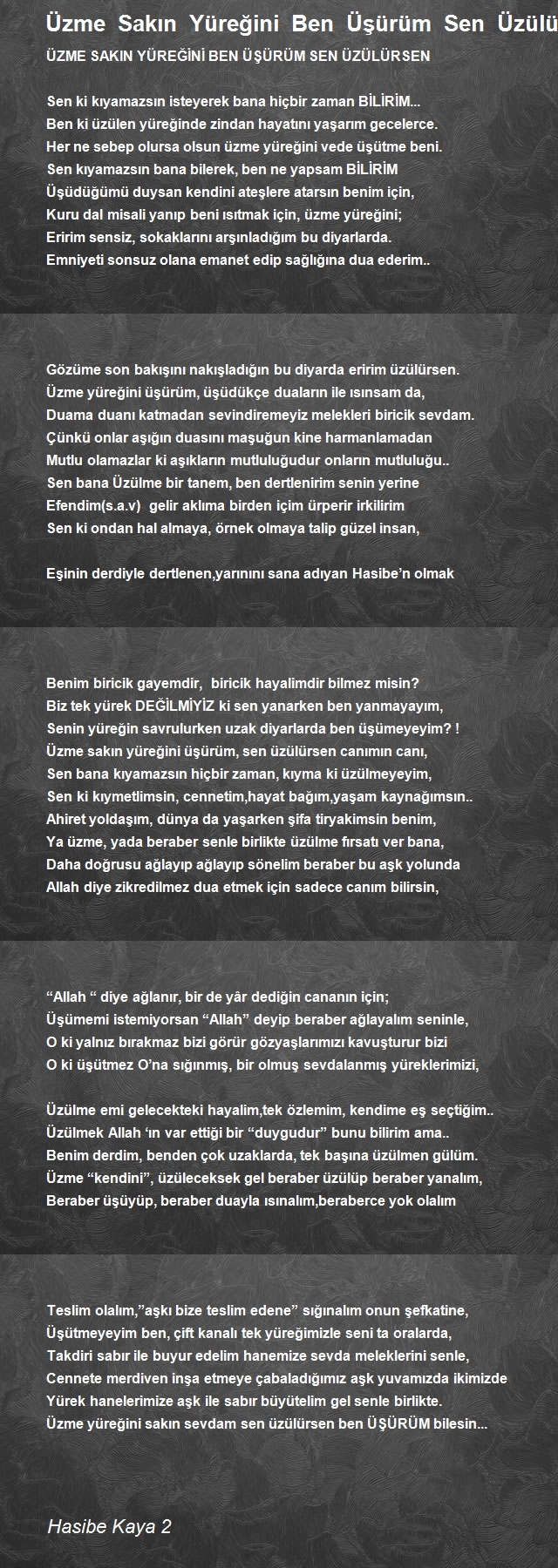 Hasibe Kaya 2