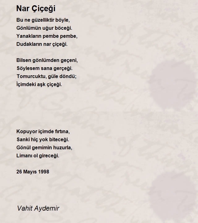 Vahit Aydemir