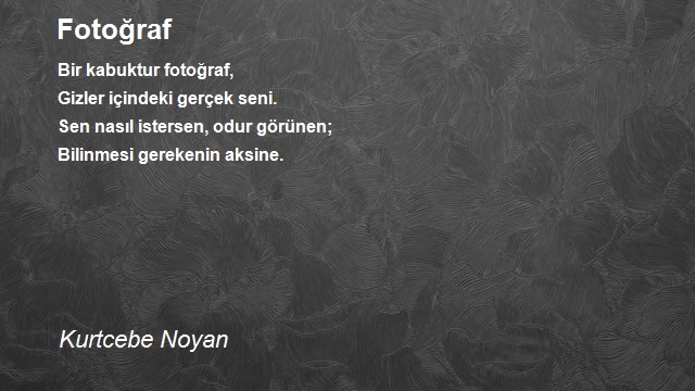 Kurtcebe Noyan