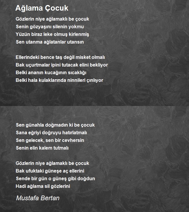 Mustafa Bertan