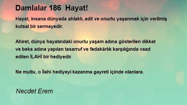 Necdet Erem