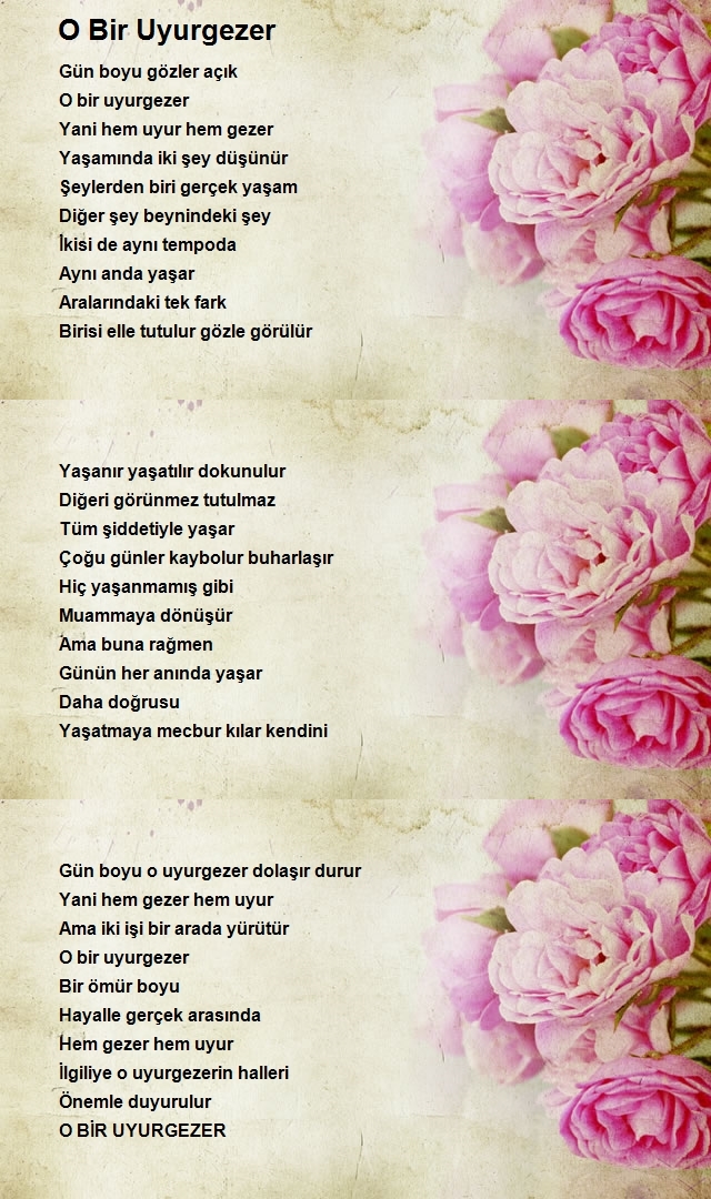 Cafer Akyol