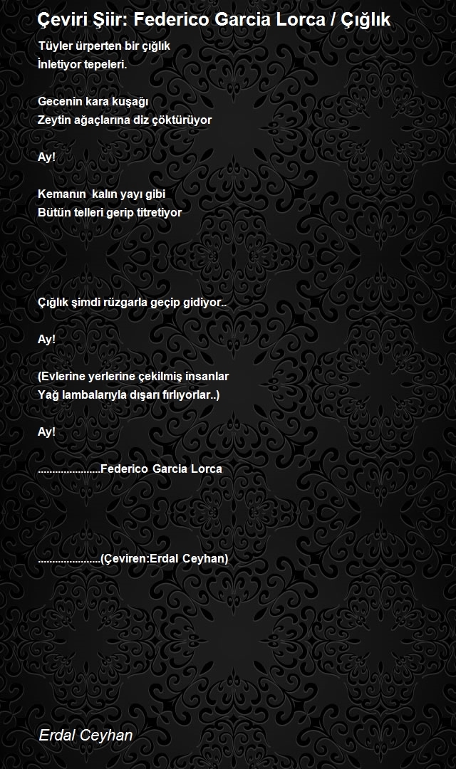 Erdal Ceyhan