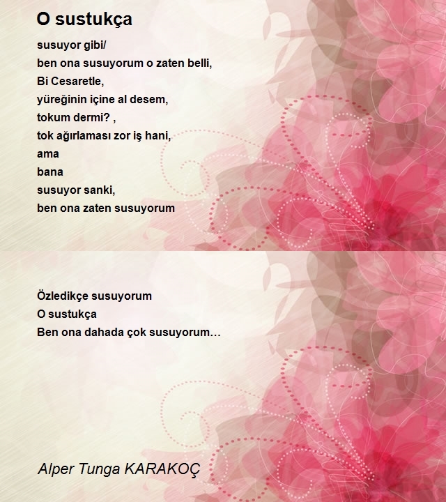 Alper Tunga KARAKOÇ