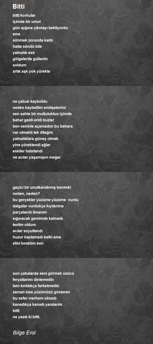 Bilge Erol