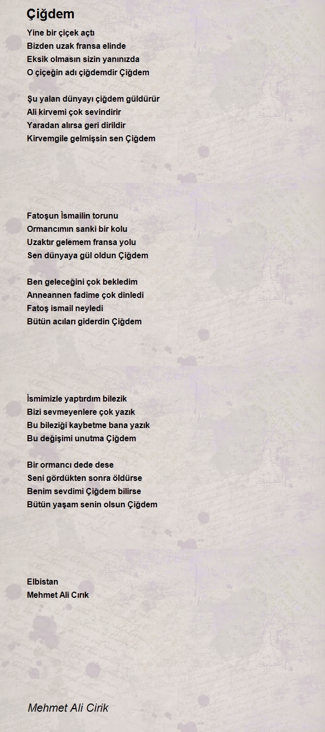 Mehmet Ali Cirik