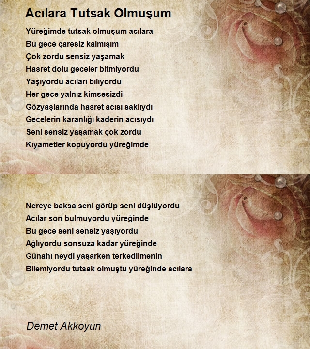 Demet Akkoyun