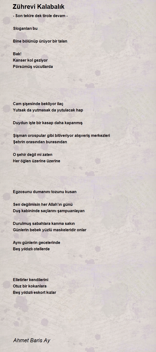 Ahmet Baris Ay