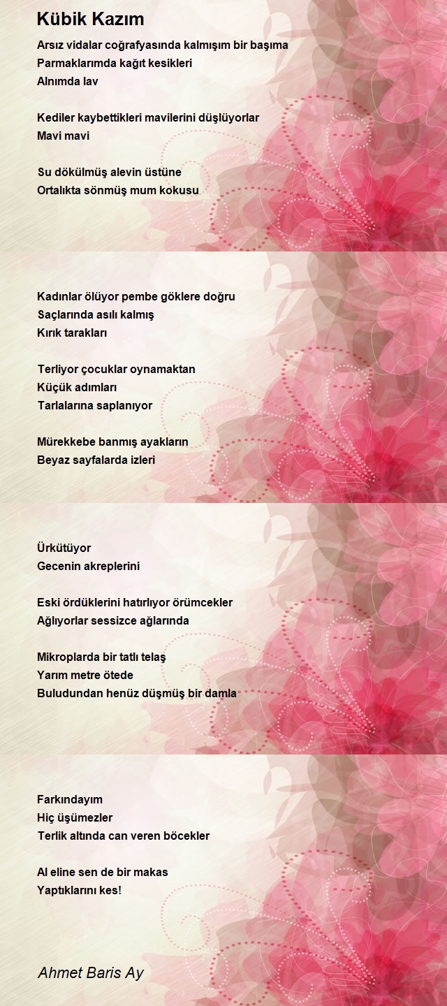 Ahmet Baris Ay
