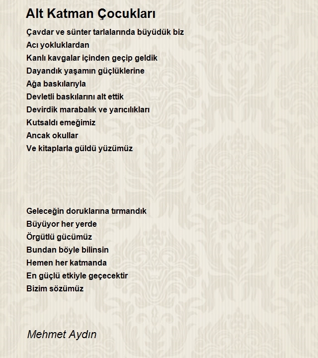 Mehmet Aydın