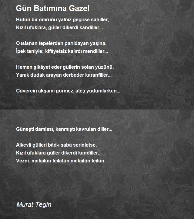 Murat Tegin