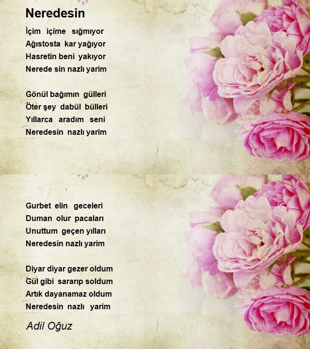 Adil Oğuz