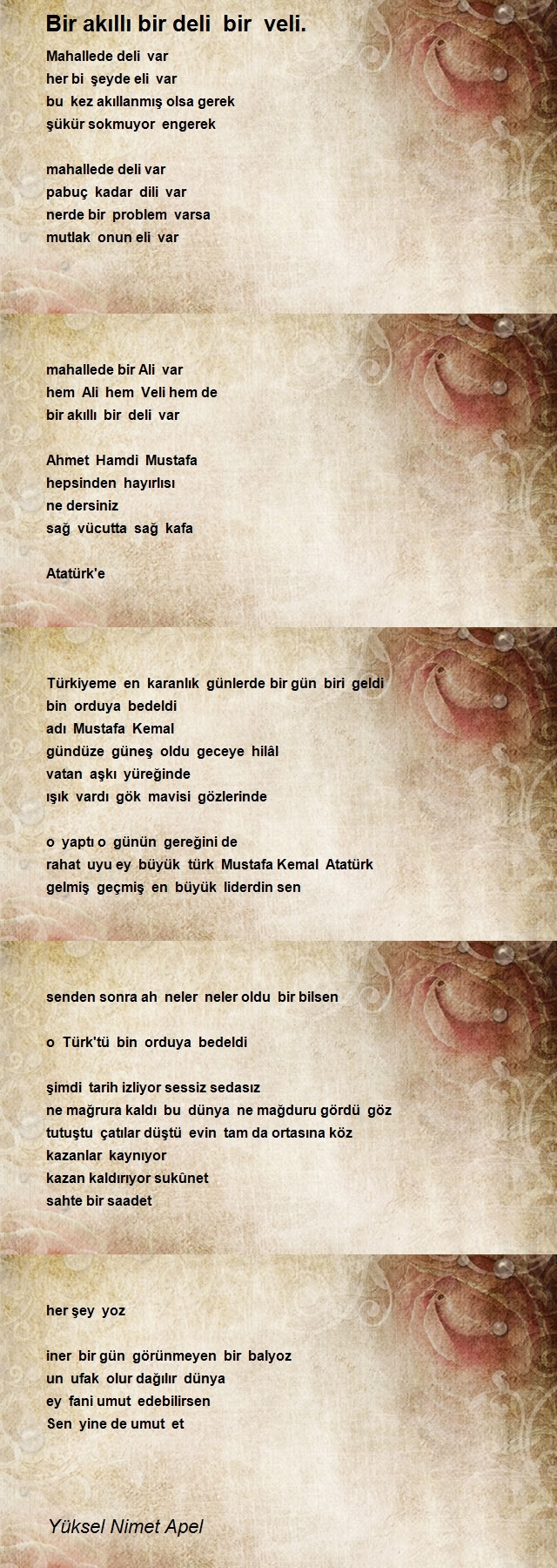 Yüksel Nimet Apel