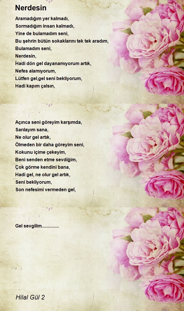 Hilal Gül 2