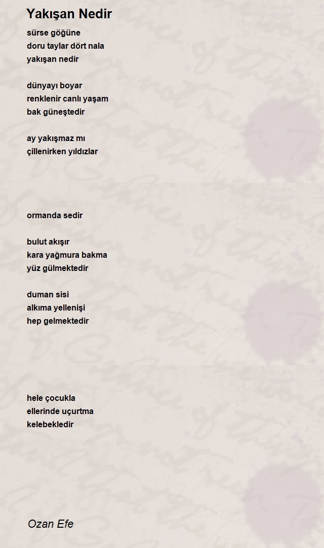Ozan Efe