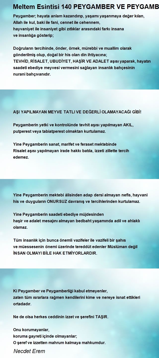 Necdet Erem