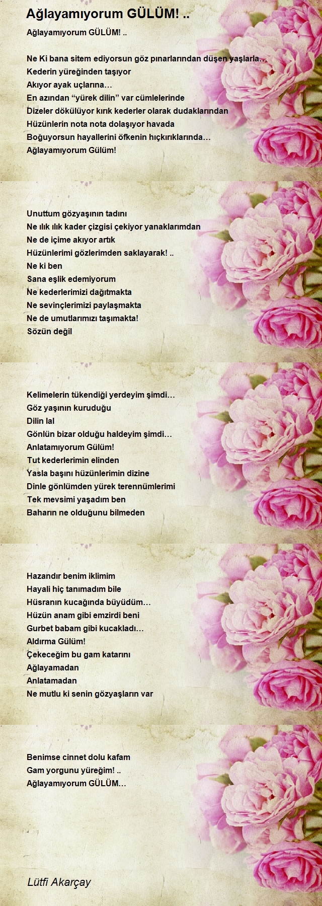 Lütfi Akarçay