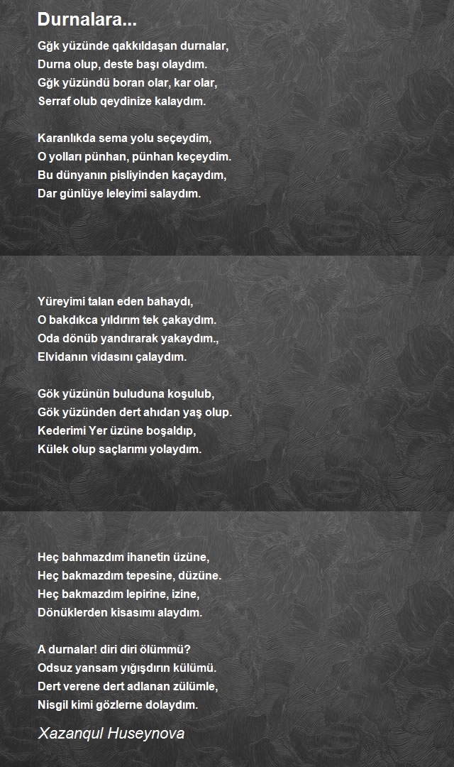 X&#601zangül Hüseynova