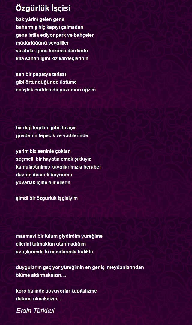 Ersin Türkkul