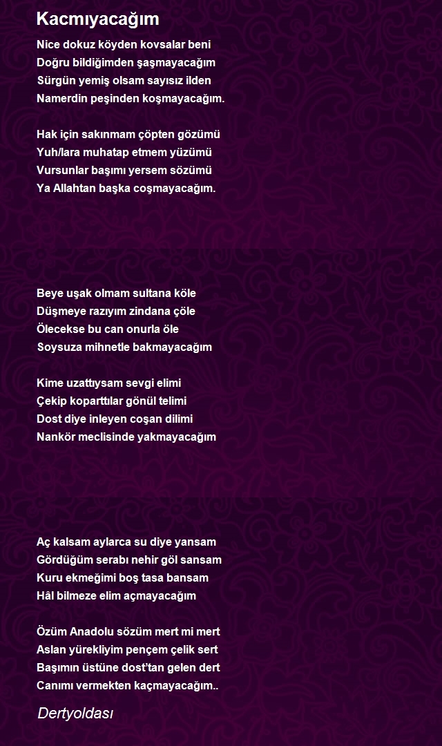 Şair Dertyoldası