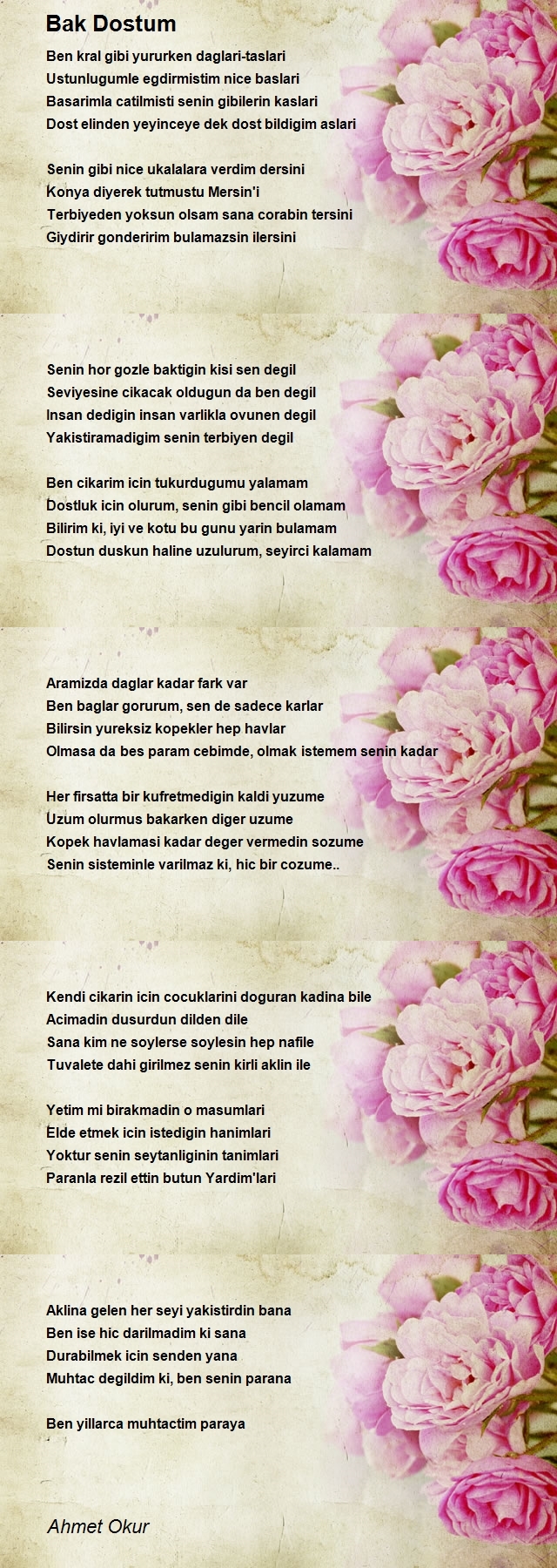 Ahmet Okur