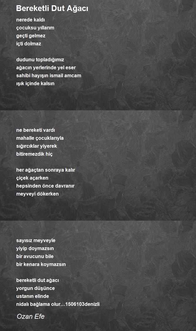 Ozan Efe