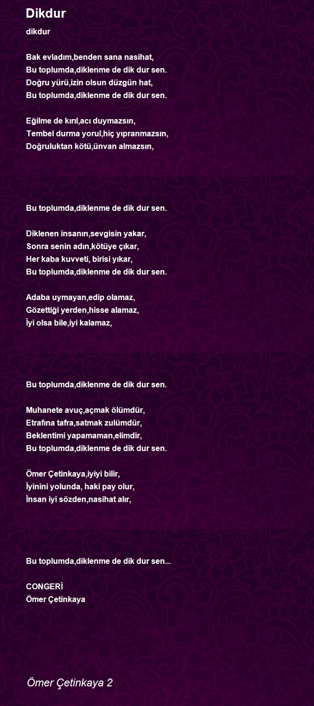 Ömer Çetinkaya 2