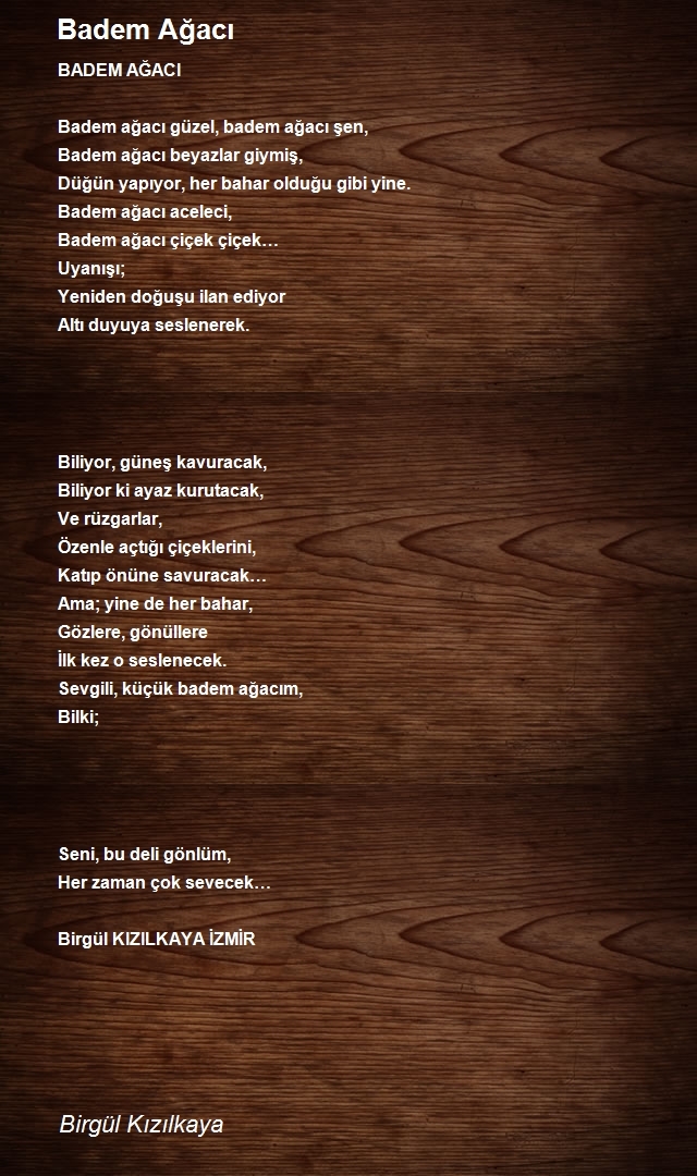 Birgül Kızılkaya