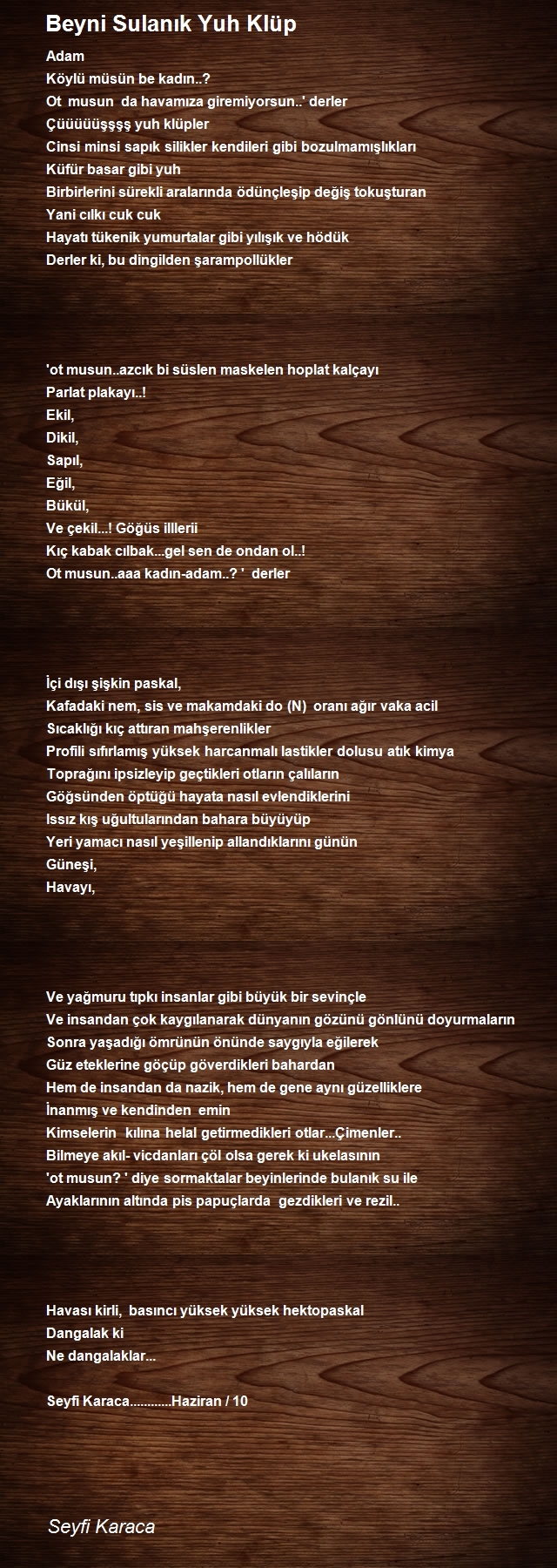 Seyfi Karaca